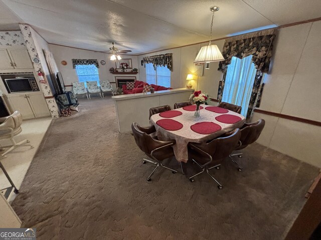 268 Daisy Adams Rd, Cochran, GA 31014