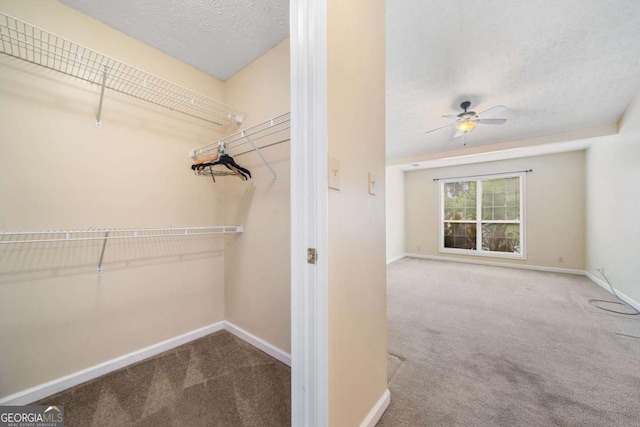 467 Ravinia Way, Lawrenceville, GA 30044 - walk in closet featuring carpet flooring and ceiling fan