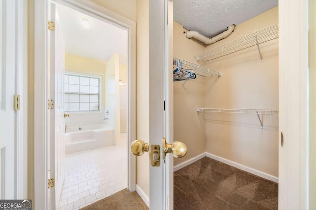 467 Ravinia Way, Lawrenceville, GA 30044 - walk in closet with carpet flooring