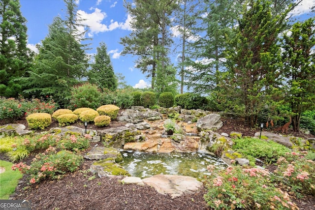3057 Watsons Bnd, Milton, GA 30004 - view of nature featuring a small pond