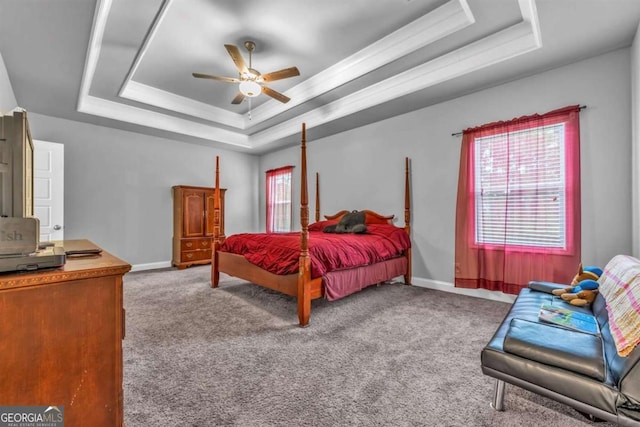51 Waterfowl Ct, Jefferson, GA 30549 - bedroom featuring a raised ceiling, multiple windows, and carpet floors