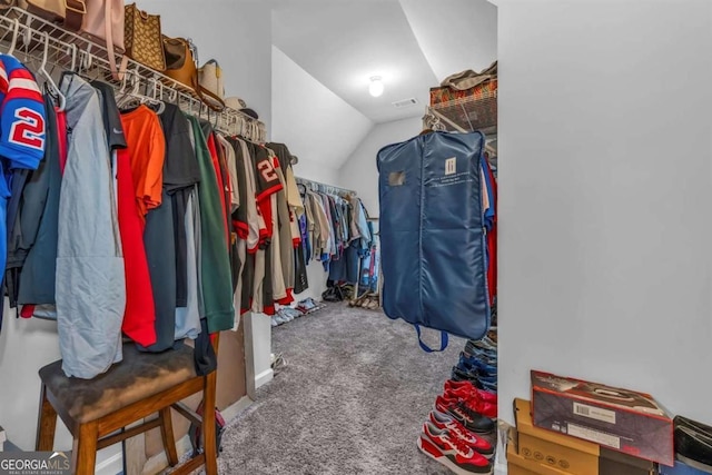 51 Waterfowl Ct, Jefferson, GA 30549 - walk in closet with carpet flooring and vaulted ceiling