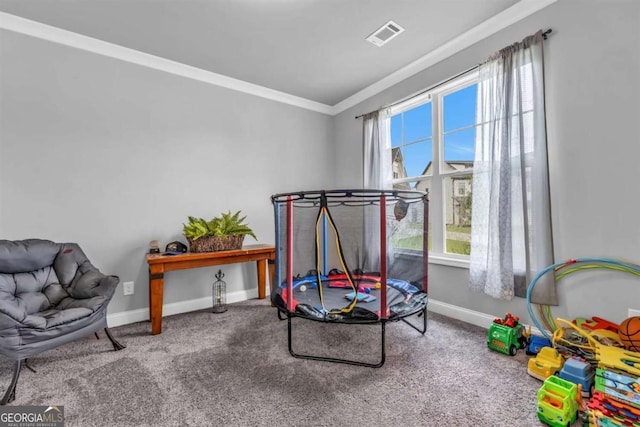 51 Waterfowl Ct, Jefferson, GA 30549 - playroom featuring ornamental molding and carpet flooring