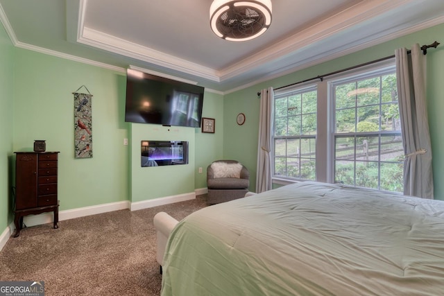 311 Lonesome Pine Trl, Blairsville, GA 30512 - bedroom featuring a tray ceiling, carpet flooring, baseboards, a glass covered fireplace, and ornamental molding