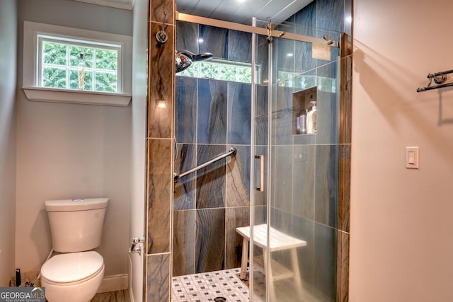 311 Lonesome Pine Trl, Blairsville, GA 30512 - bathroom with healthy amount of natural light, a shower stall, and toilet