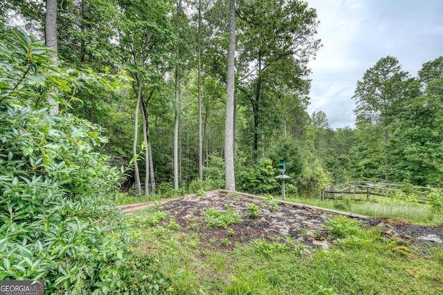 311 Lonesome Pine Trl, Blairsville, GA 30512 - view of wooded area