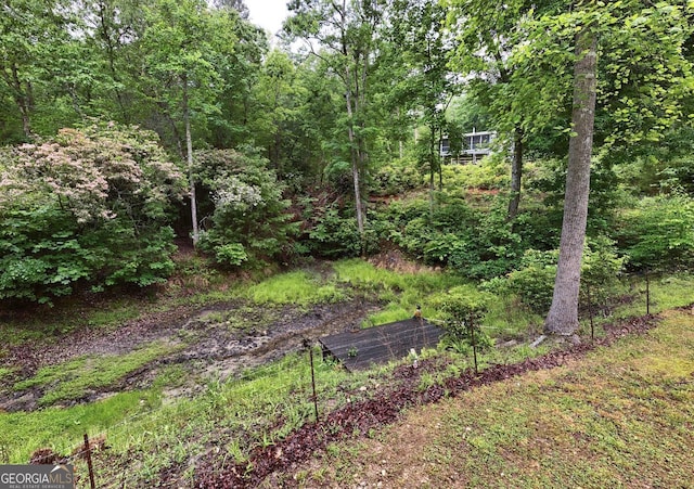 311 Lonesome Pine Trl, Blairsville, GA 30512 - view of yard