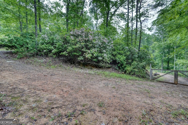 311 Lonesome Pine Trl, Blairsville, GA 30512 - view of yard