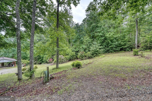 311 Lonesome Pine Trl, Blairsville, GA 30512 - view of grassy yard with a wooded view