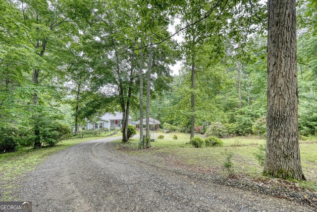 311 Lonesome Pine Trl, Blairsville, GA 30512 - view of dirt / gravel driveway featuring a forest view