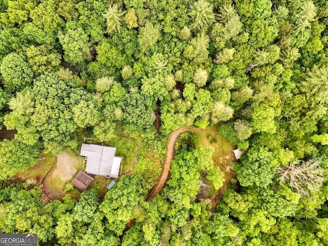 311 Lonesome Pine Trl, Blairsville, GA 30512 - aerial view