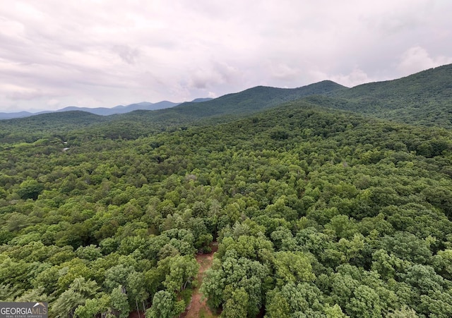 311 Lonesome Pine Trl, Blairsville, GA 30512 - mountain view featuring a heavily wooded area