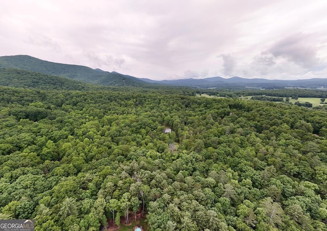 311 Lonesome Pine Trl, Blairsville, GA 30512 - view of mountain backdrop featuring a forest