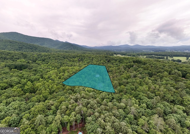 311 Lonesome Pine Trl, Blairsville, GA 30512 - bird's eye view of a heavily wooded area and mountains