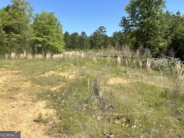 12001 Layfield Rd, Upatoi, GA 31829 - view of wooded area