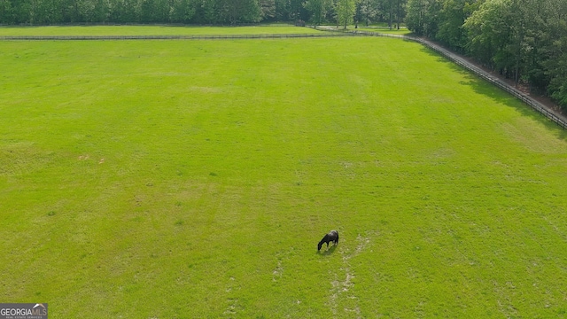 12001 Layfield Rd, Upatoi, GA 31829 - view of yard with a view of countryside