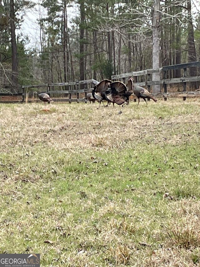 12001 Layfield Rd, Upatoi, GA 31829 - view of yard