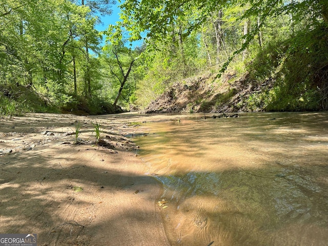 12001 Layfield Rd, Upatoi, GA 31829 - view of undeveloped land