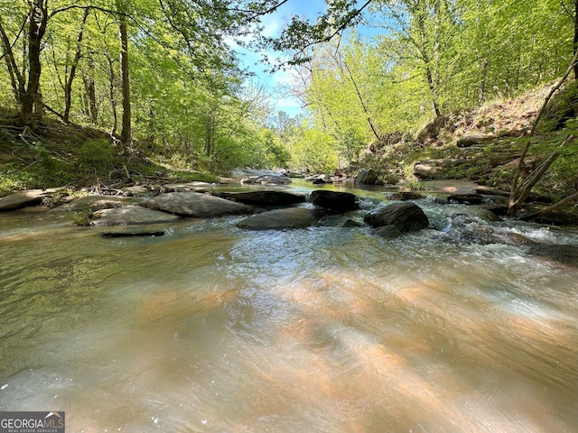 12001 Layfield Rd, Upatoi, GA 31829 - water view