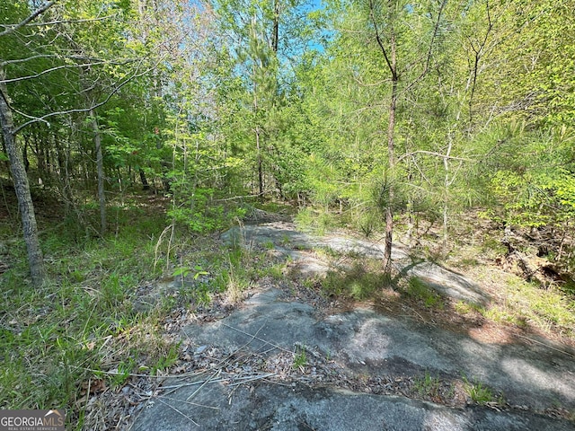 12001 Layfield Rd, Upatoi, GA 31829 - view of local wilderness