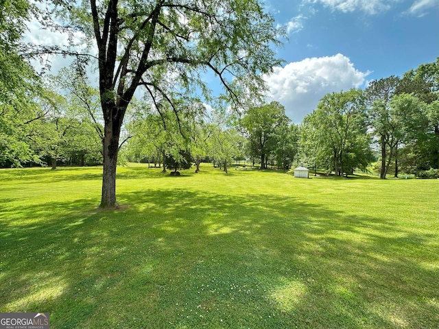 12001 Layfield Rd, Upatoi, GA 31829 - view of green lawn