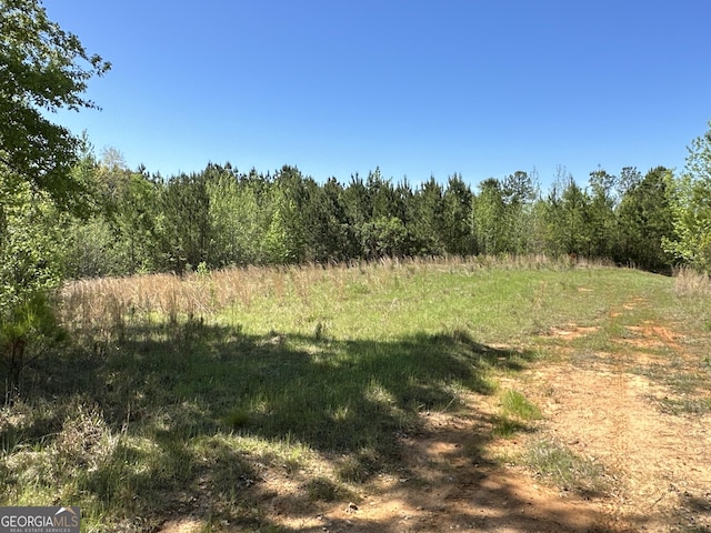 12001 Layfield Rd, Upatoi, GA 31829 - view of wooded area featuring a rural view