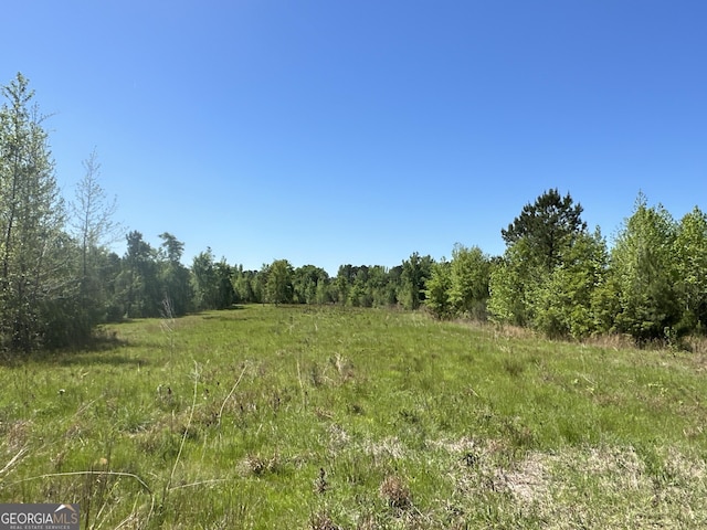 12001 Layfield Rd, Upatoi, GA 31829 - view of woods with a view of countryside