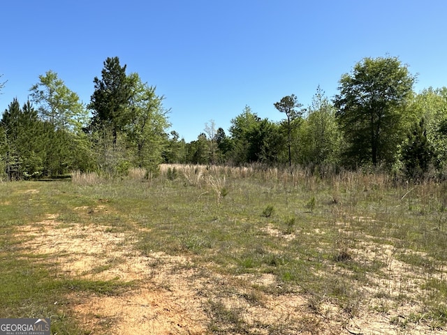 12001 Layfield Rd, Upatoi, GA 31829 - view of wooded area