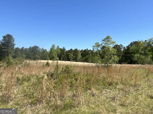 12001 Layfield Rd, Upatoi, GA 31829 - view of woods featuring a view of countryside