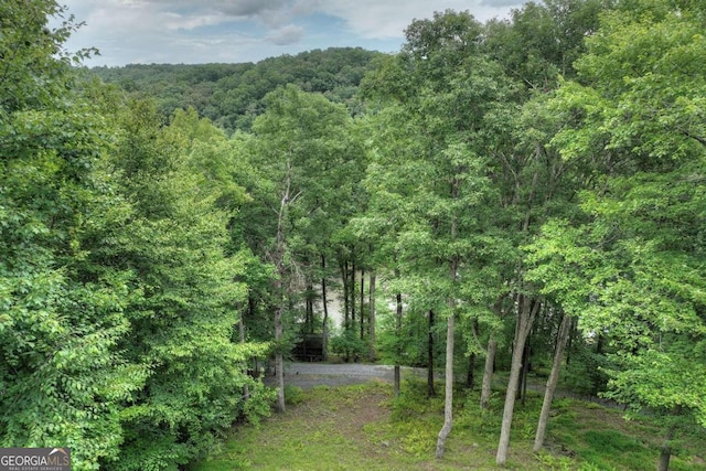 190 Toccoa Heights Rd, Blue Ridge, GA 30513 - view of yard featuring a view of trees