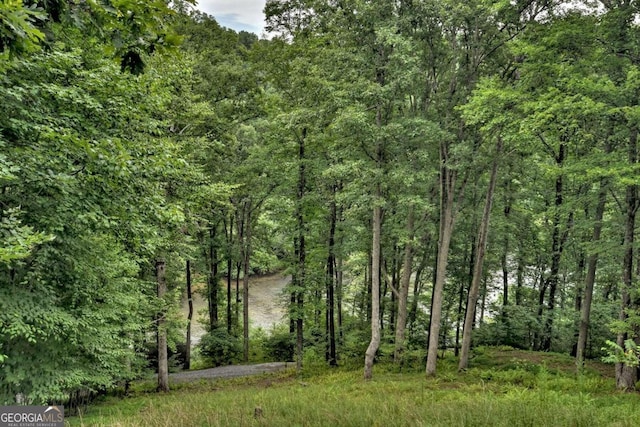 190 Toccoa Heights Rd, Blue Ridge, GA 30513 - view of wooded area