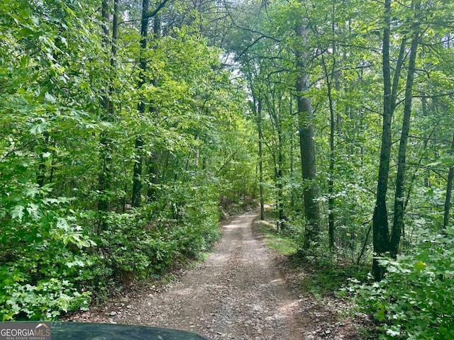 0 Charlie Lemley Rd, Dawsonville, GA 30534