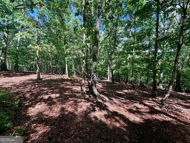 0 Charlie Lemley Rd, Dawsonville, GA 30534
