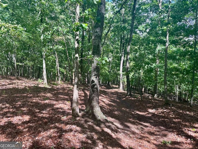 0 Charlie Lemley Rd, Dawsonville, GA 30534