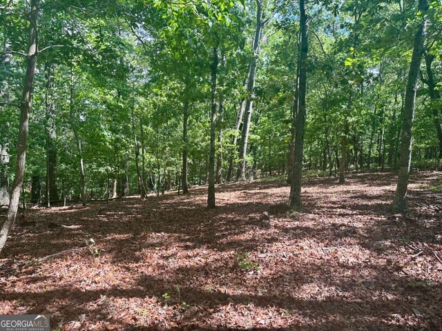 0 Charlie Lemley Rd, Dawsonville, GA 30534