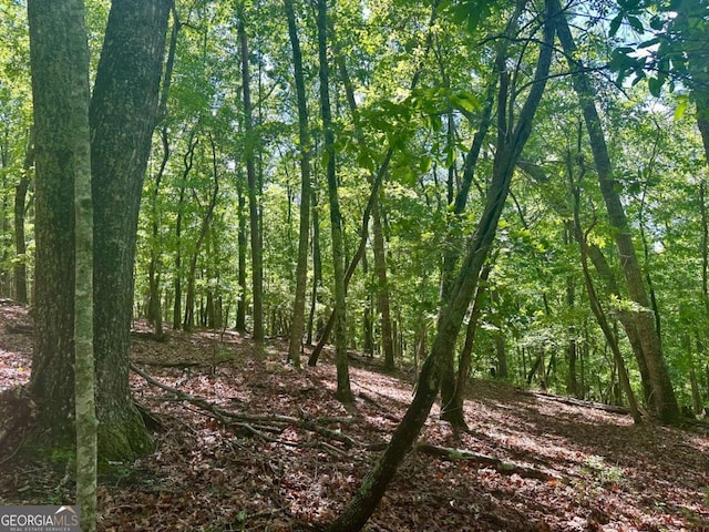0 Charlie Lemley Rd, Dawsonville, GA 30534