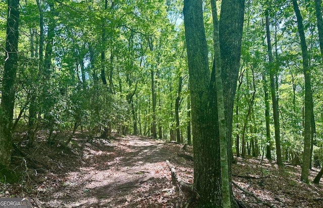 0 Charlie Lemley Rd, Dawsonville, GA 30534