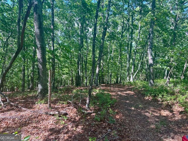 0 Charlie Lemley Rd, Dawsonville, GA 30534