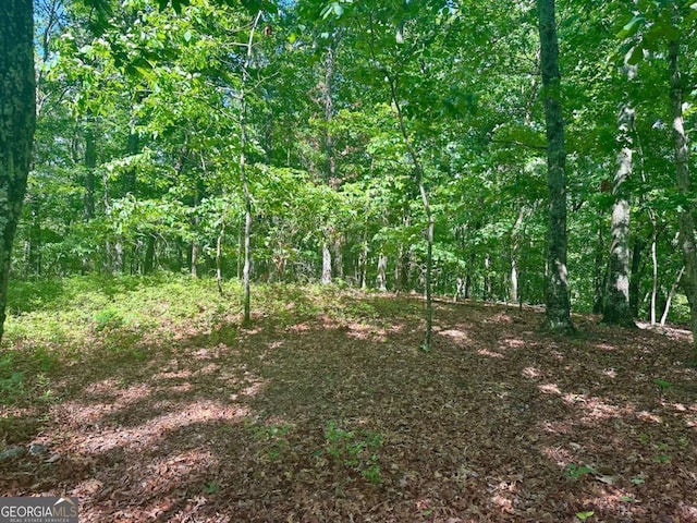 0 Charlie Lemley Rd, Dawsonville, GA 30534