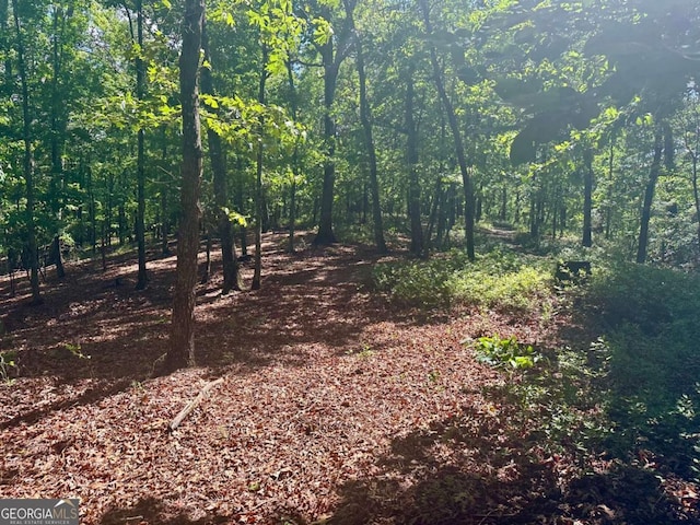 0 Charlie Lemley Rd, Dawsonville, GA 30534