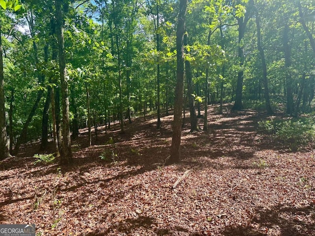 0 Charlie Lemley Rd, Dawsonville, GA 30534