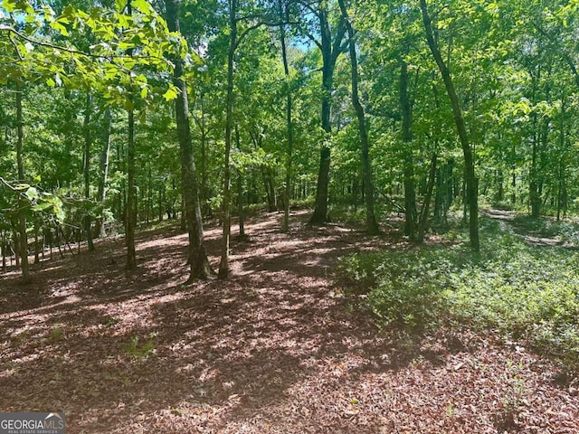 0 Charlie Lemley Rd, Dawsonville, GA 30534