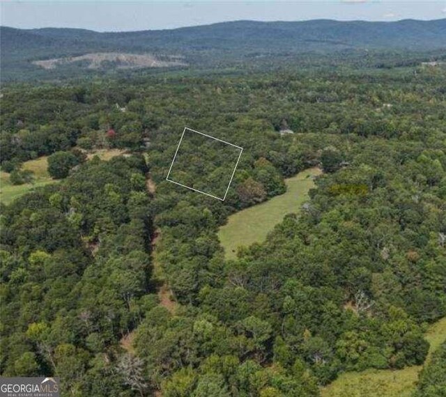 873 Pleasant Union Rd, Canton, GA 30114