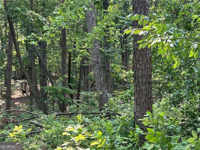 873 Pleasant Union Rd, Canton, GA 30114