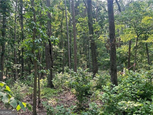 873 Pleasant Union Rd, Canton, GA 30114