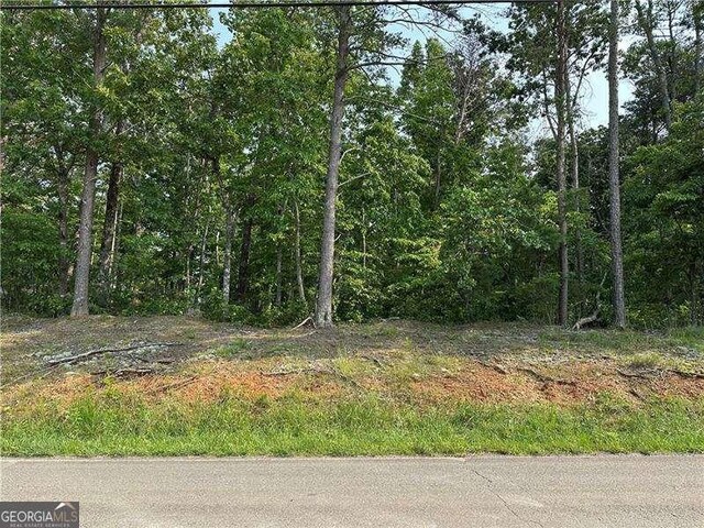 873 Pleasant Union Rd, Canton, GA 30114