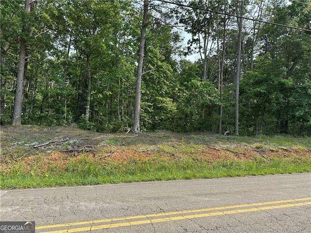 873 Pleasant Union Rd, Canton, GA 30114