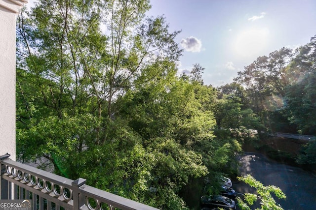 11 Perimeter Ctr E Unit 1412, Atlanta, GA 30346 - view of yard