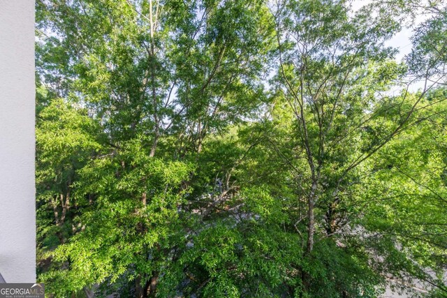 11 Perimeter Ctr E Unit 1412, Atlanta, GA 30346 - view of nature