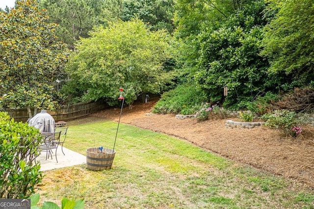1865 Morgans Run Trl, Buford, GA 30519 - view of yard with a patio area